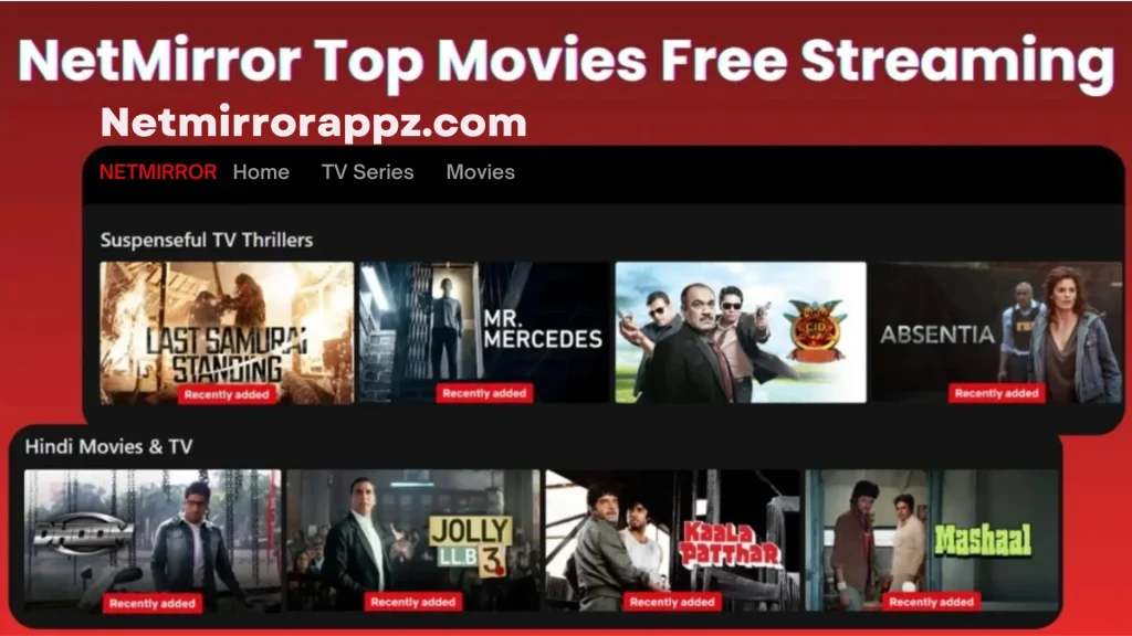 What is Netmirror APK