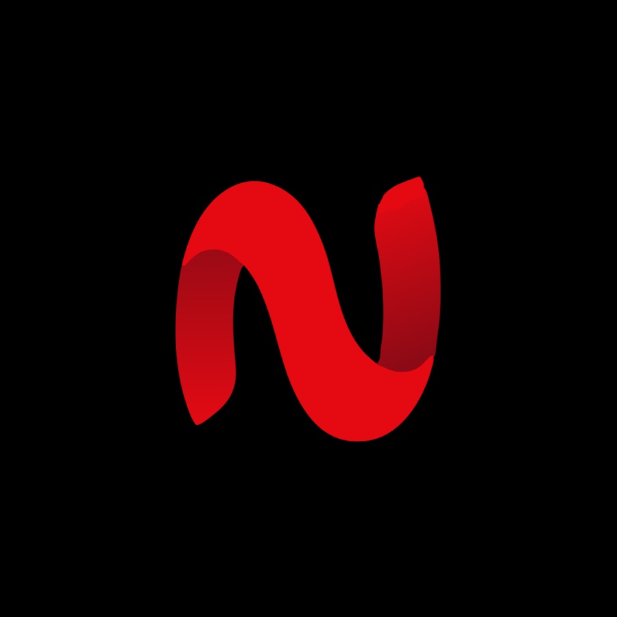 Netmirror Logo